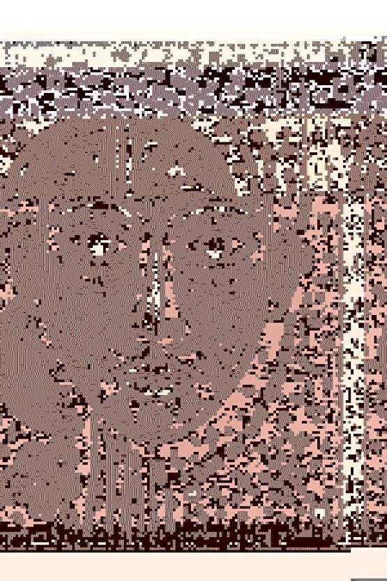 Matisse - Sanat - Soyut - Doğa - Ev - Yaşam ( 2 Li Çerçevesiz ) Poster - Afiş - Tablo NNHT582