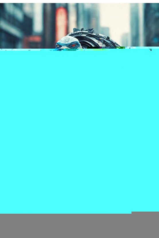 Matisse - Sanat - Soyut - Doğa - Ev - Yaşam ( 2 Li Çerçevesiz ) Poster - Afiş - Tablo NNHT525