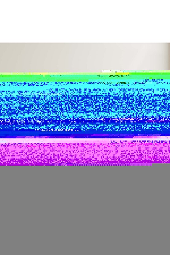 Matisse - Sanat - Soyut - Doğa - Yaşam ( Tekli Çerçevesiz ) Poster - Afiş - Tablo MKKM1707