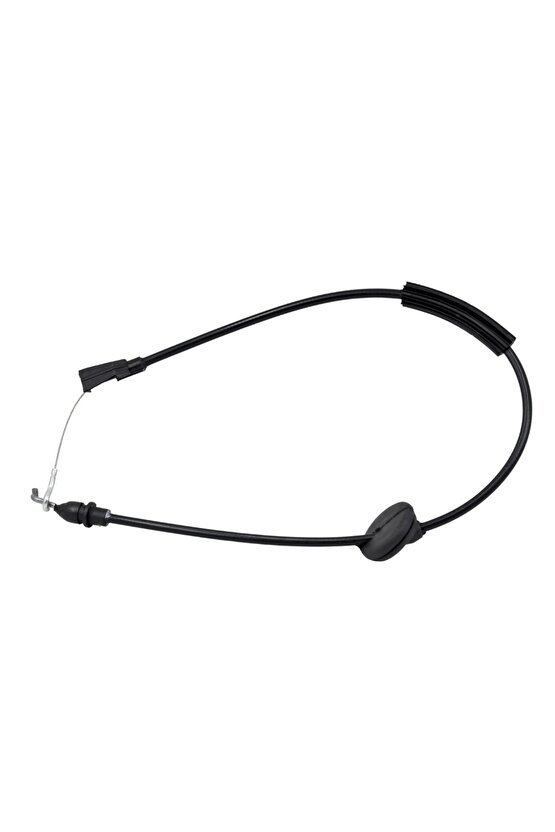 Matisse - Sanat - Soyut - Doğa - Yaşam ( Tekli Çerçevesiz ) Poster - Afiş - Tablo MKKM2129