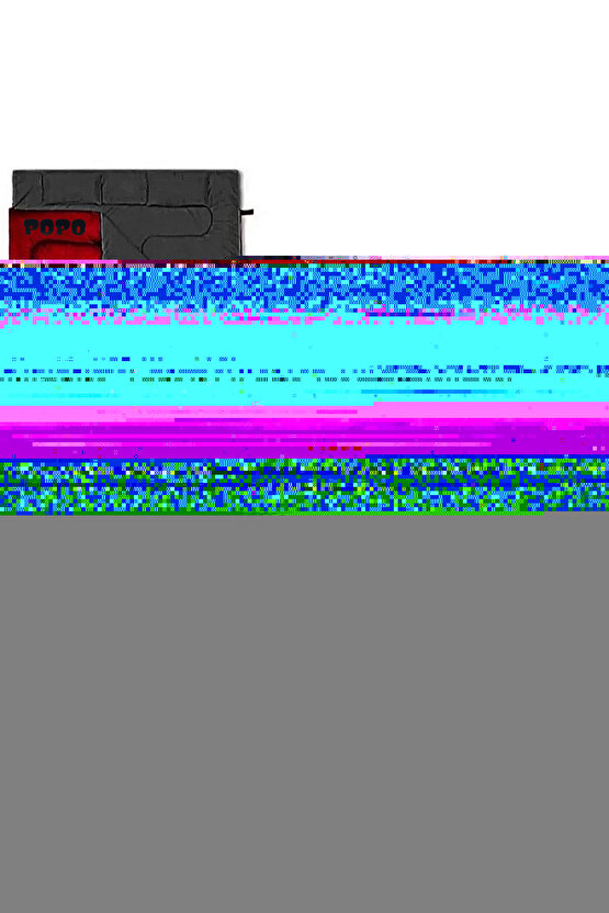 Matisse - Boho - Art Deco - Soyut - Doğa ( 3 lü Çerçevesiz ) Poster - Afiş - Tablo KR2C00104