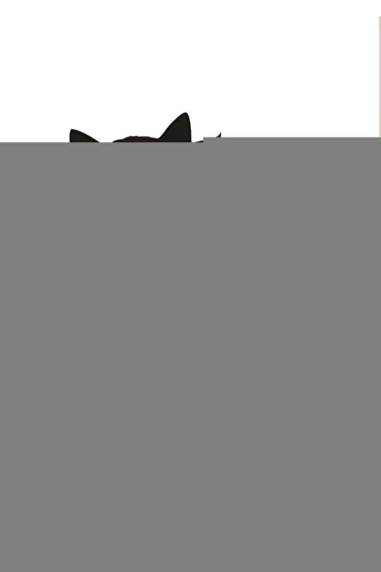 Titiz Şişe Ve Biberon Temizleme Fırçası