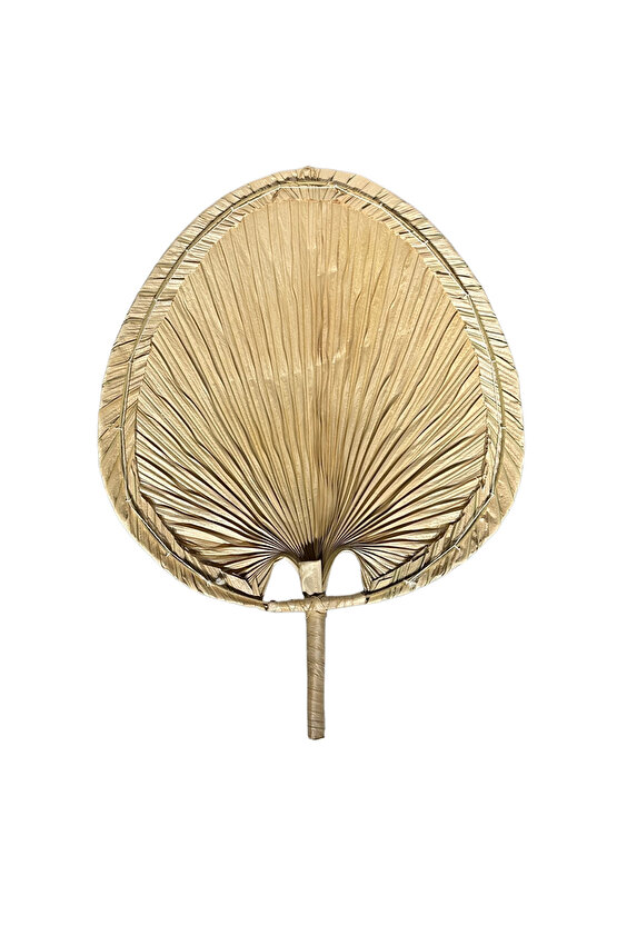 Aura X-Large Boy Palmiye Yaprağı Duvar Süsü, Japon Yelpazesi Bohem Stil Dekorasyon, 56 x 41 cm