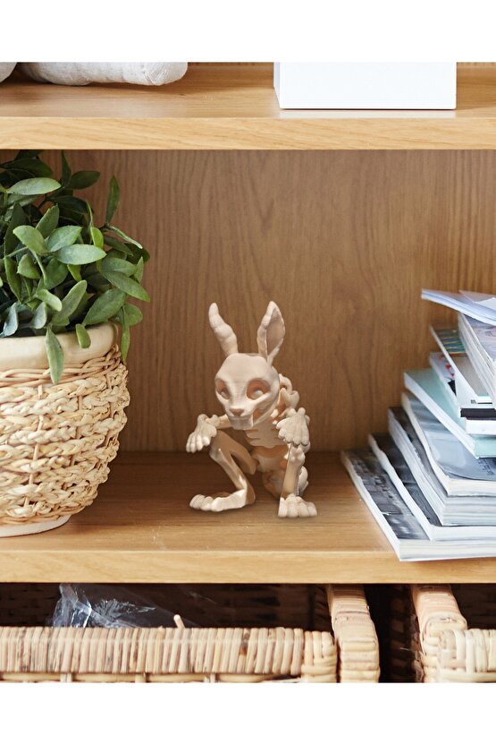 İskelet Tavşan (iskelet koleksiyonu)