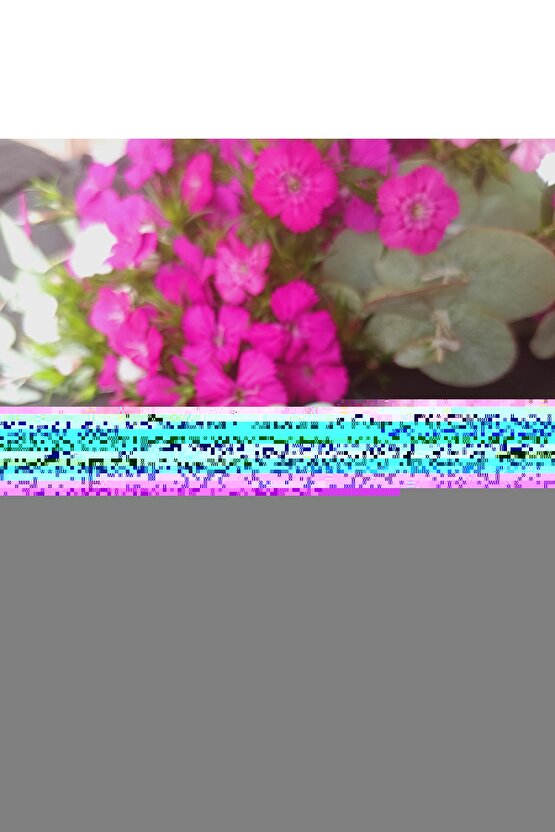 The Wrong Man (1956) 001 AFİŞ - POSTER