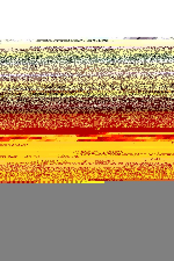 Piknik Park Digital Art ( ÇERÇEVESİZ - ÇERÇEVE YOKTUR ) ( ULTRA HD ) FOLYO AFİŞ - POSTER