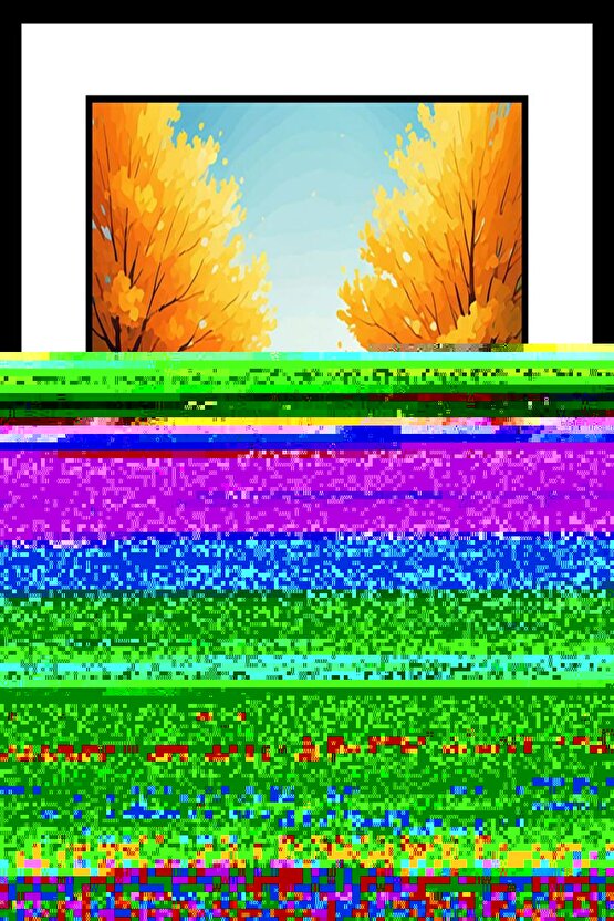 Roclas Koli Bandı 60*100 Mt 4 Adet Şeffaf