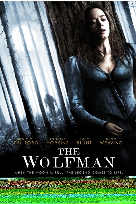 1 Metre X 5 Metre Doğal Bambu Kamış Çit , Bahçe & Balkon Çiti , Gölgelik Panel , Reed Fence