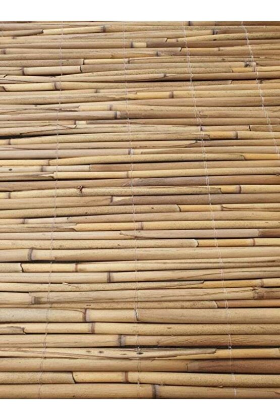 Kamış Çit Hasır Çit 1x4,5 Metre Eni 1 Metre Uzunluk 4,5 Metre