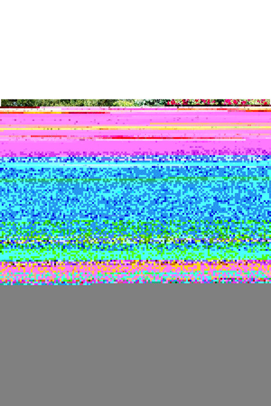 Them! (1954) AFİŞ - POSTER ( FOLYO ) - AFİŞ - POSTER-8114