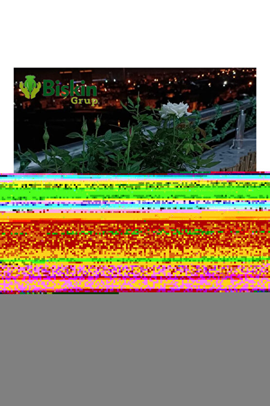 25 CM X 5 Metre Bamvu Kamış Hasır Çit, Misina İpli Bahçe Ve Balkon Dekorasyonu, Gölgelik Reedfence