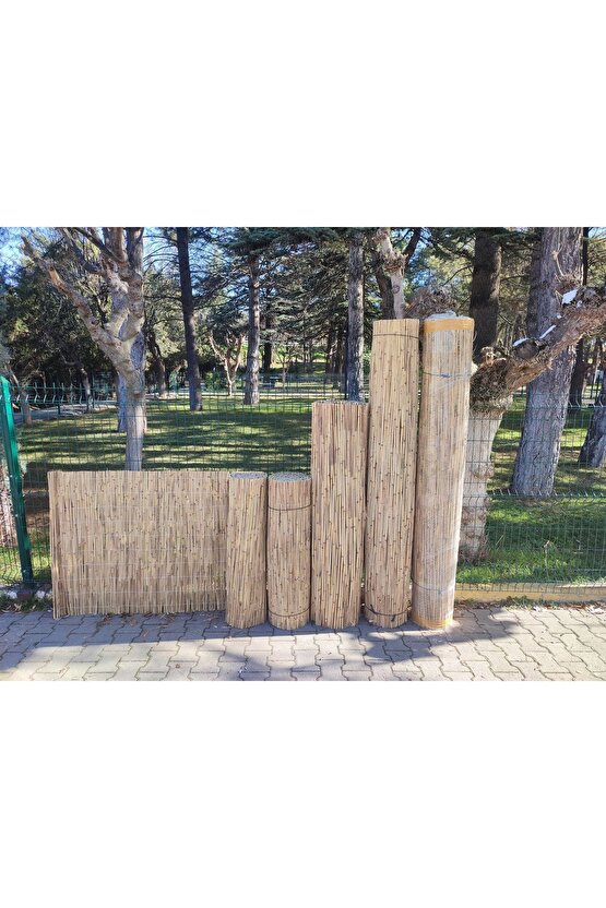 1Metre x 6Metre Eber Gölünden Bambu Kamış Hasır Çit, Gölgelik Bahçe ve Balkon Çiti Reed Fence