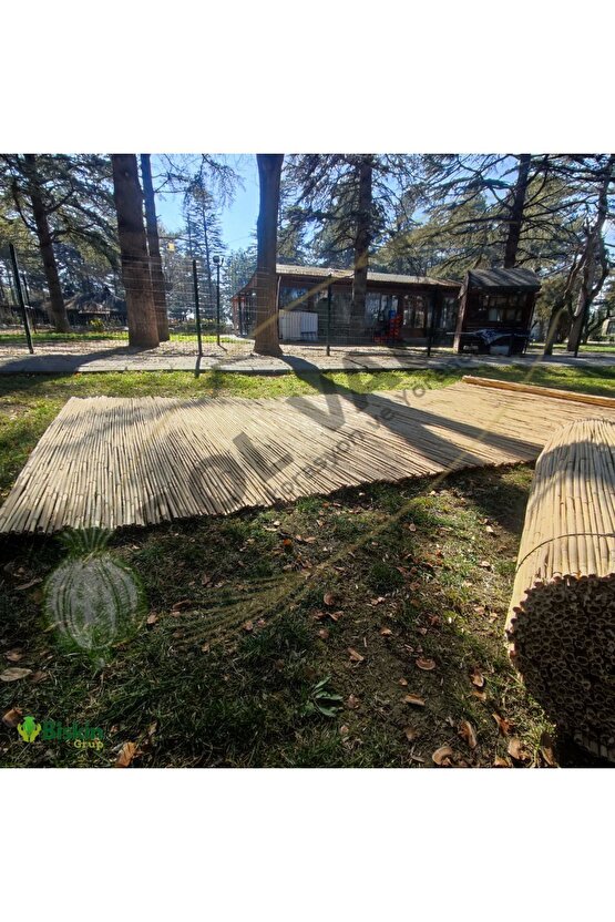 1.5m X 5m Afyonkarahisardan Misina Ipli Doğal Bambu Kamış Çit,bahçe Çiti,hasır Çit, Gölgelik