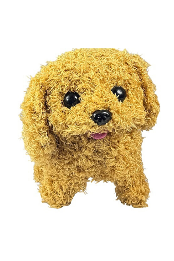 Sesli Yürüyen Peluş Köpek Taşıma Çantalı Aksesuarlı Tasmalı Köpek Aksesuarı Fonksiyonlu 1+ Yaş