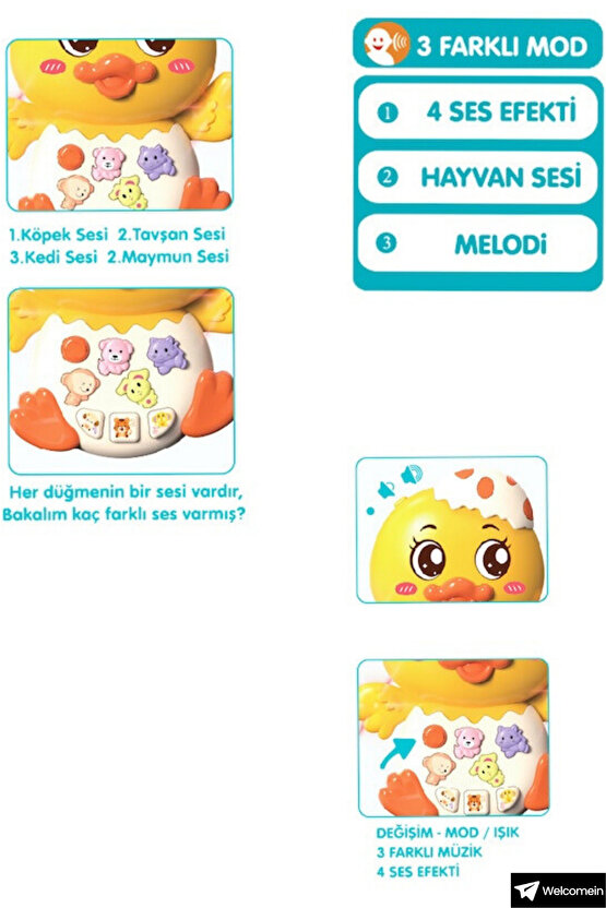 Oyuncak Işıklı ve Müzikli 3 Modlu 4 Farklı Hayvan Sesi ve Melodi Çalan Eğitici Tırtıl Ördek Piyanosu