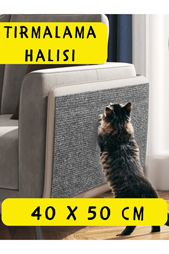 5 Parça Kedi Köpek Başlangıç Seti Kedi Ev Taşıma Kutusu Tırmalama Tahtası Tırmalama Matı Battaniyesi