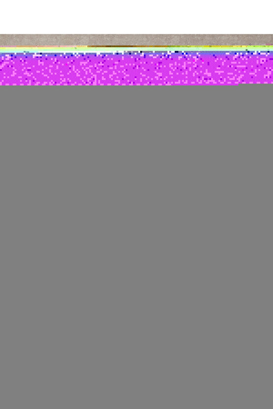 Pear Garden Baskılı Tek Kişilik Pike Takımı 150x220 cm Yeşil