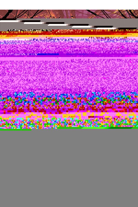 Colour comb Porselen 4 parça 2 Kişilik Kahve Fincanı
