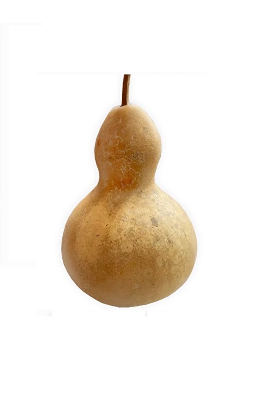 Su Kabak Tohumu - 25 Adet