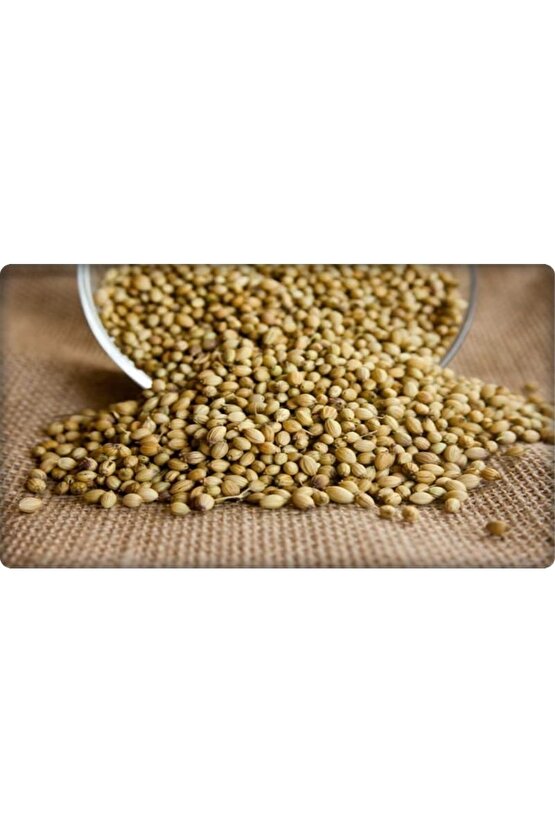 Kişniş Tohumu (AŞ OTU) 25 gram