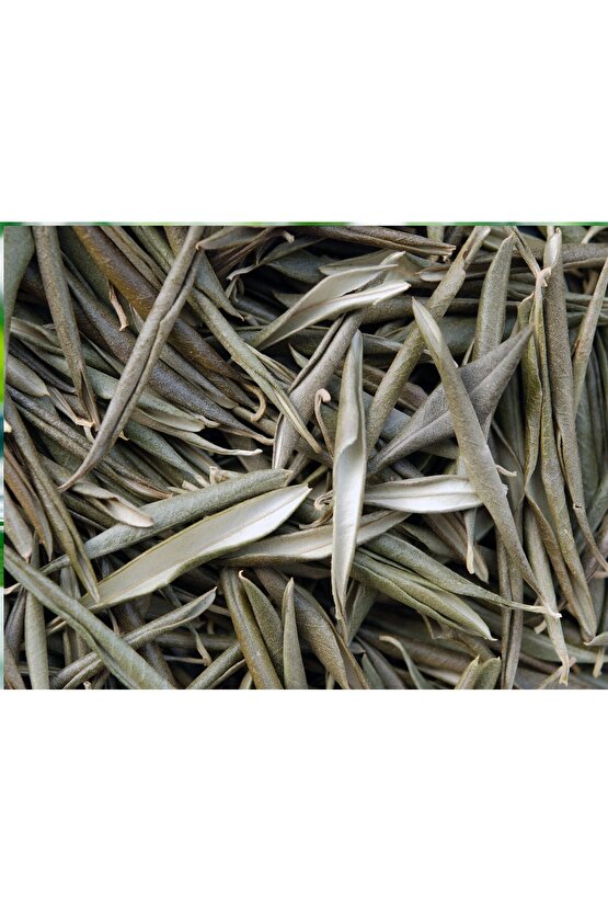 Kurutulmuş Egeden Zeytin Yaprağı Çayı 100 gr ( Doğal Kurutulmuş)