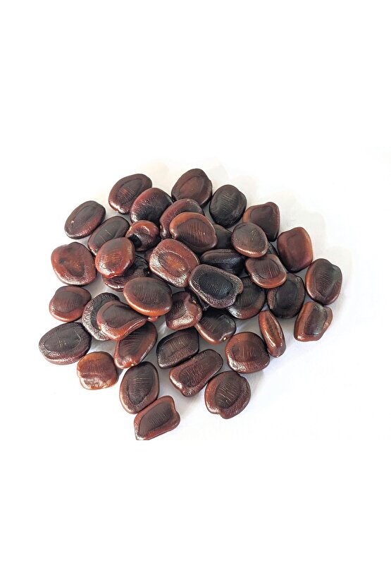 5 Adet Tamarind Demirhindi Tohumu, Taze  Demir Hindi Tohumu