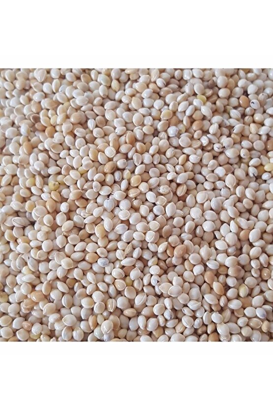 200 gr - Kuş Yemi Ak Darı Beyaz Darı - (AKDARI)