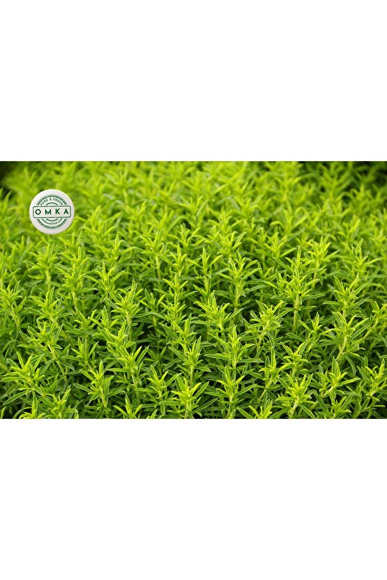 Çubritsa Baharatı 45 gr x 2 Adet – Bahçeden, 1. Sınıf, Doğal ve Katkısız Bulgaristan Balkan Lezzeti