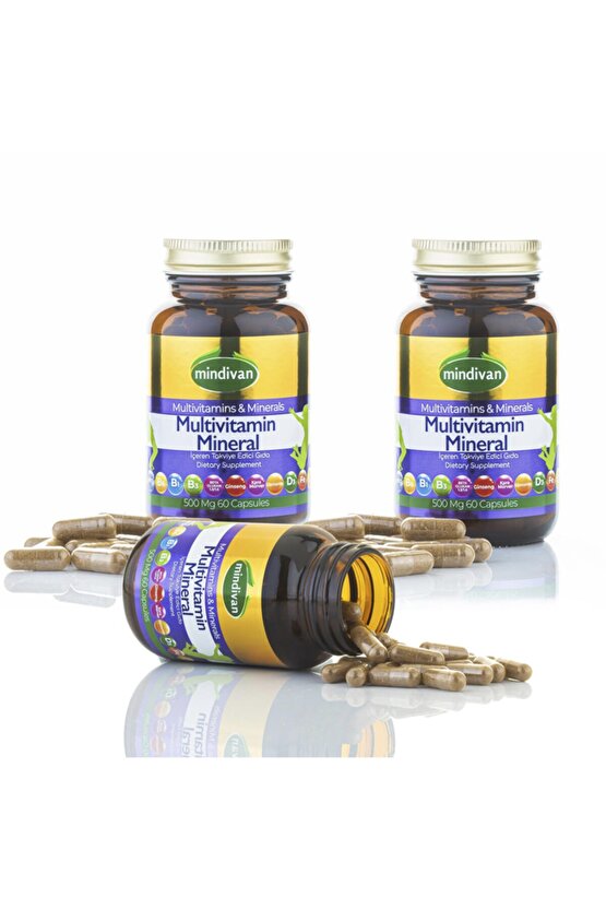 Multivitamin 500 mg X 3 Adet