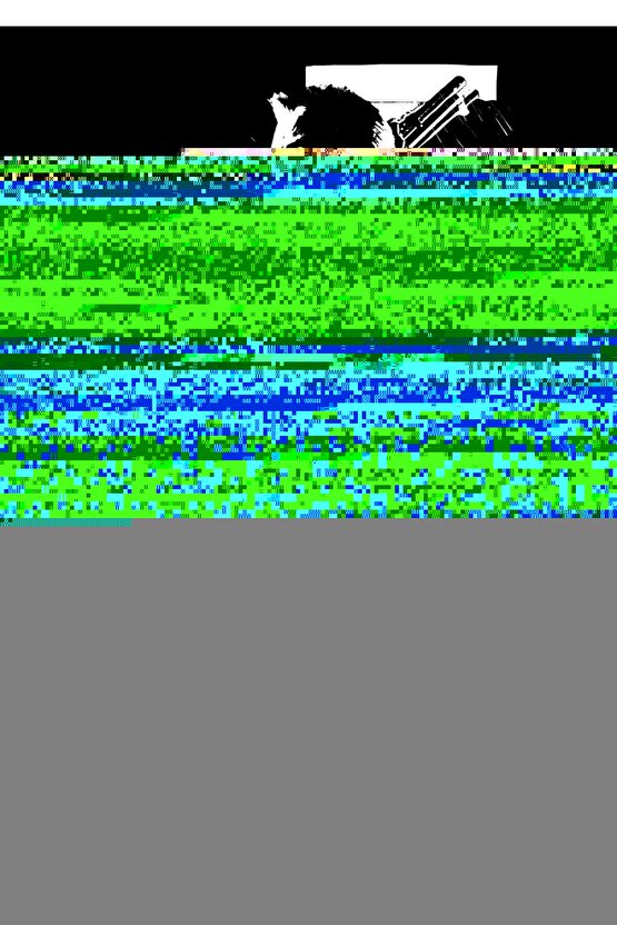 2165 Minimizer Toparlayıcı Sütyen