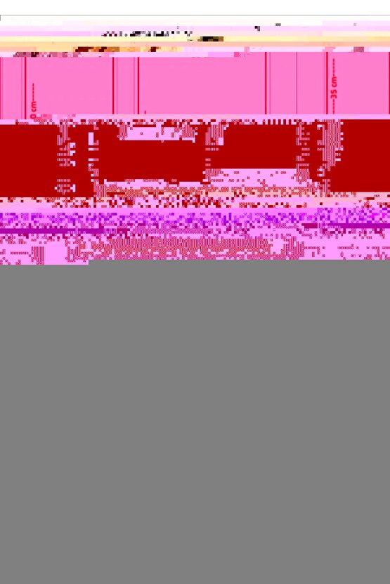 Bestguard Işçi Parkası Yüksek Görünümlü 5 1 Parka - Çok Kullanışlı Ceket Mont Parka