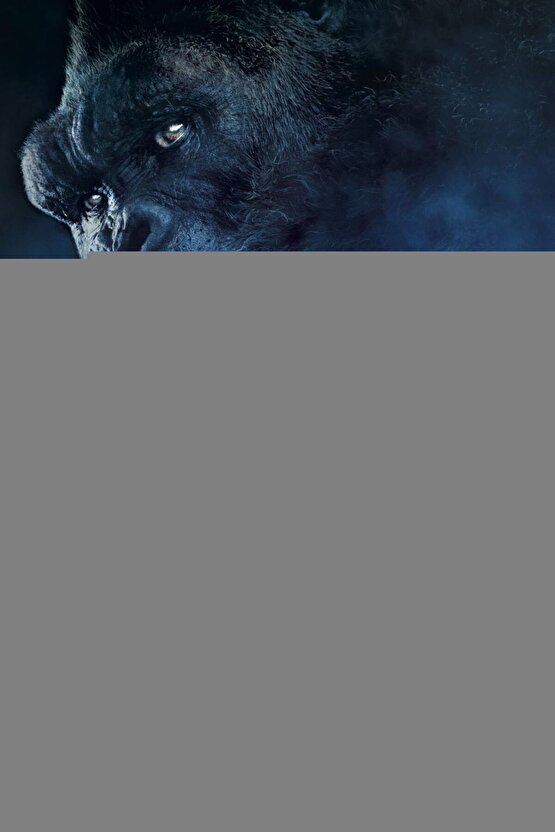 Bestguard Işçi Parkası Yüksek Görünümlü 5 1 Parka - Çok Kullanışlı Ceket Mont Parka