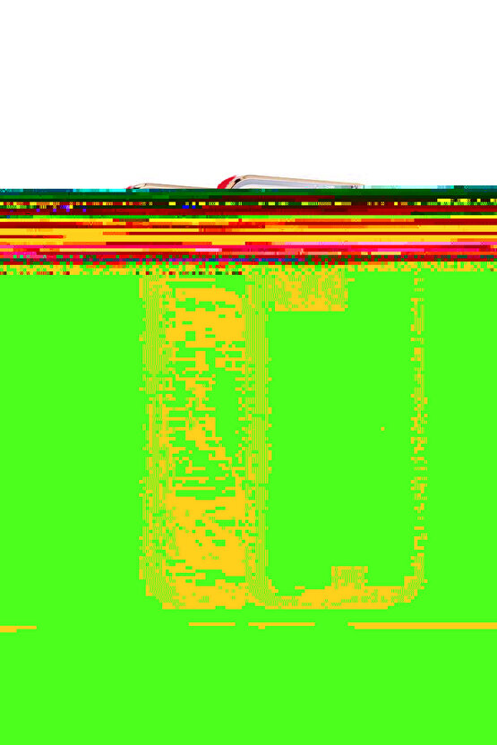 iPhone 12 Pro Max Arka kapak Kılıf Kırmızı kenarlı rose