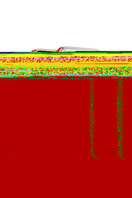 iPhone 13 Pro Max Arka kapak Kılıf Kırmızı kenarlı rose