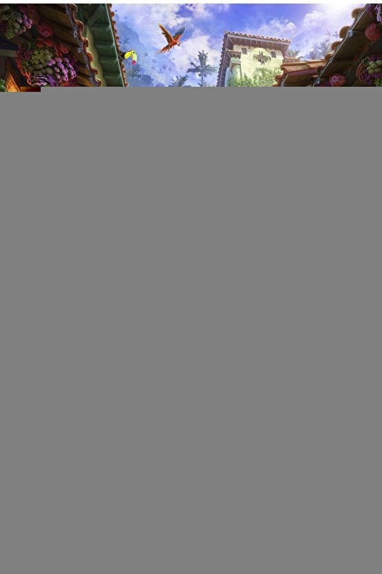 Ark Takviyeli Taban Düşüklüğü Düz Taban Içe Basma Destekli Anatomik Silikon Ayakkabı Tabanlığı