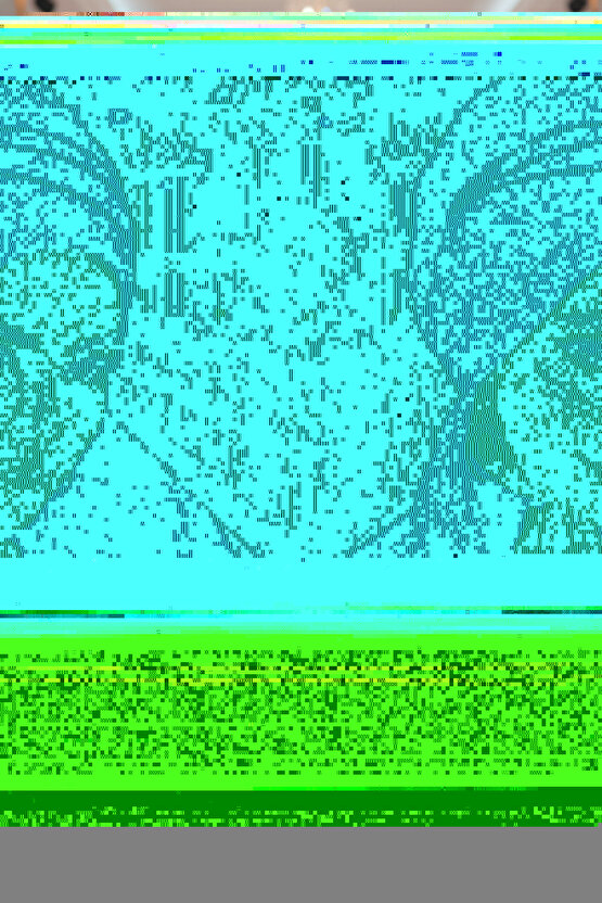 Fantastic Beasts and Where to Find Them (2016) 4 ( FOLYO ) - AFİŞ - POSTER-2772