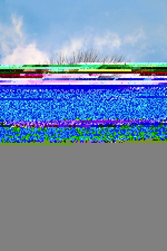 Lisanslı Sepetli Takı Ve Boncuk Seti