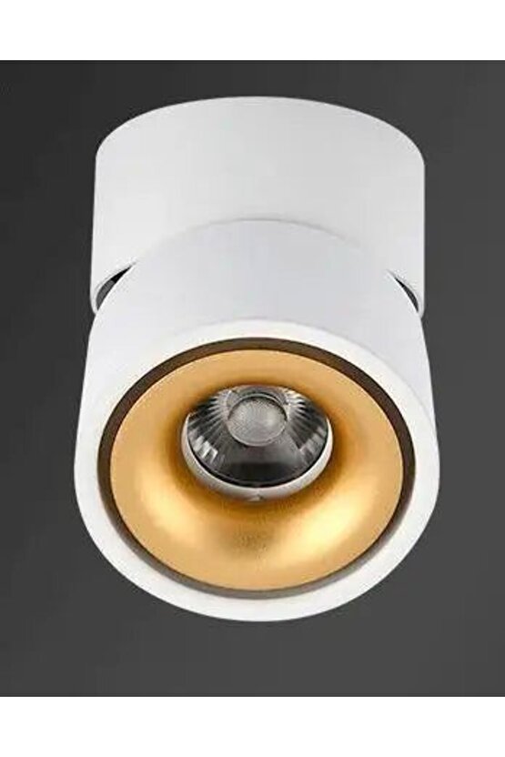 Elektrikle Çalışır, Alüminyum Kasa, 10 Watt Günışığı Ledli Modern Tasarım Ledli Tavan - Duvar Spotu