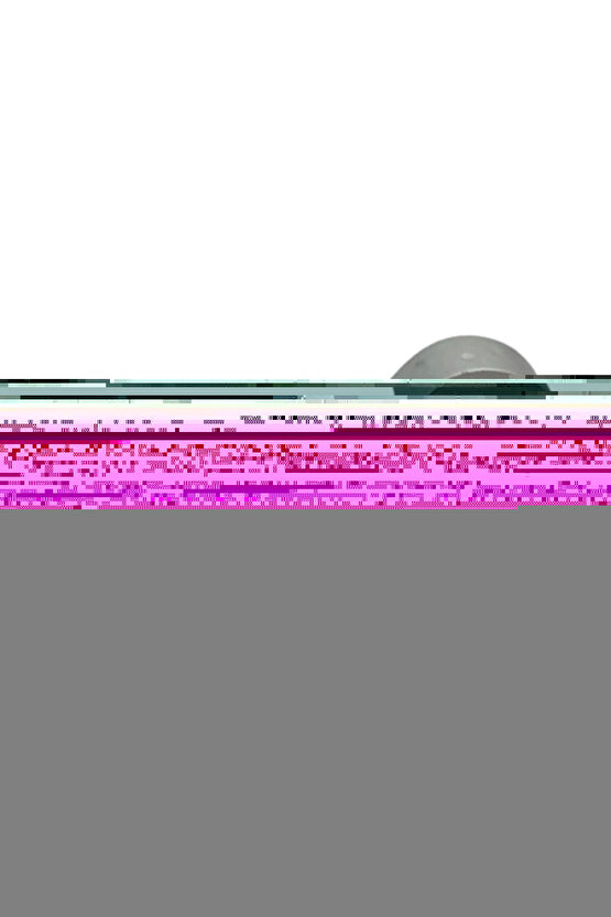 Matisse - Sanat - Soyut - Doğa - Ev - Yaşam ( 2 Li Çerçevesiz ) Poster - Afiş - Tablo NNHT102