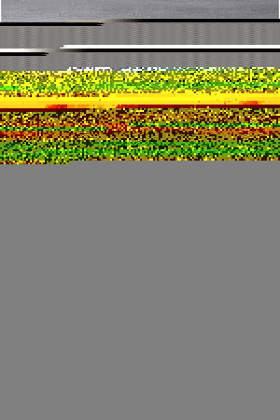 GMW-B5000D-1DR ERKEK KOL SAATİ