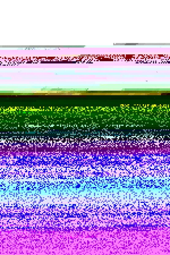 Matisse - Sanat - Soyut - Doğa - Yaşam ( Tekli Çerçevesiz ) Poster - Afiş - Tablo MKKM2527