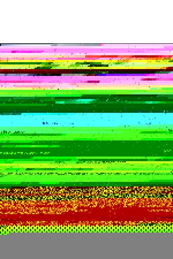 Matisse - Sanat - Soyut - Doğa - Yaşam ( Tekli Çerçevesiz ) Poster - Afiş - Tablo MKKM2454