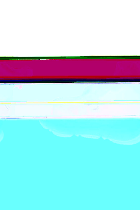 Matisse - Sanat - Soyut - Doğa - Yaşam ( Tekli Çerçevesiz ) Poster - Afiş - Tablo MKKM1241