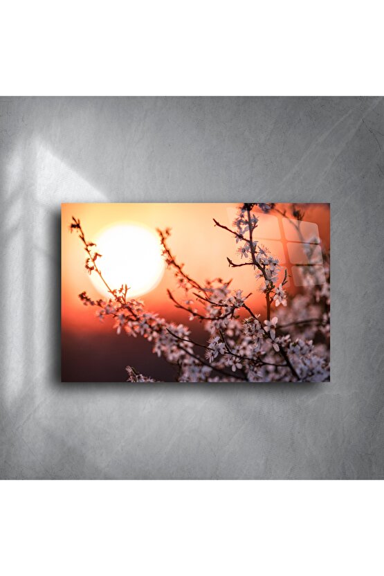 Romantik Gün Batımı Manzaralı Kiraz Çiçeği Kanvas Tablo