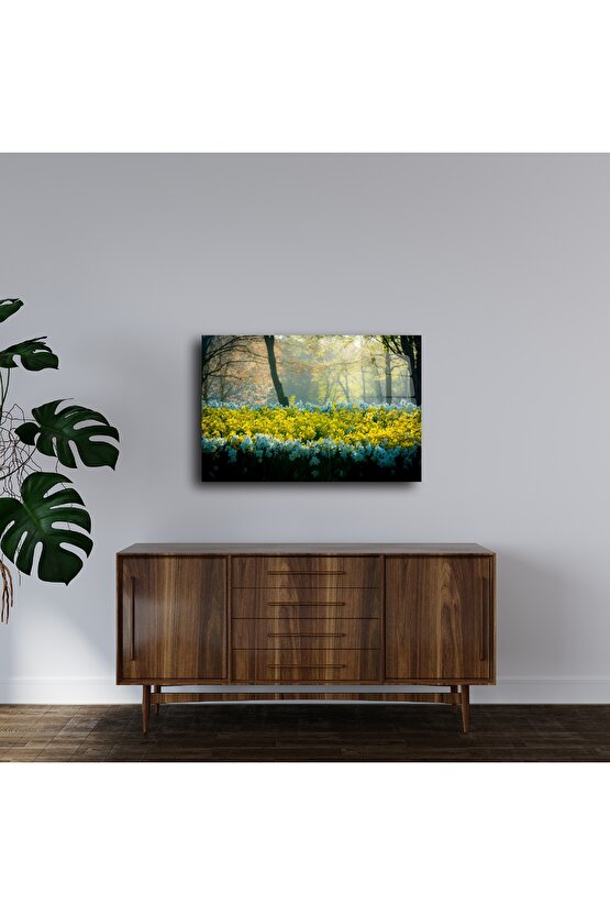 Nergis Bahçesi Cam Tablo