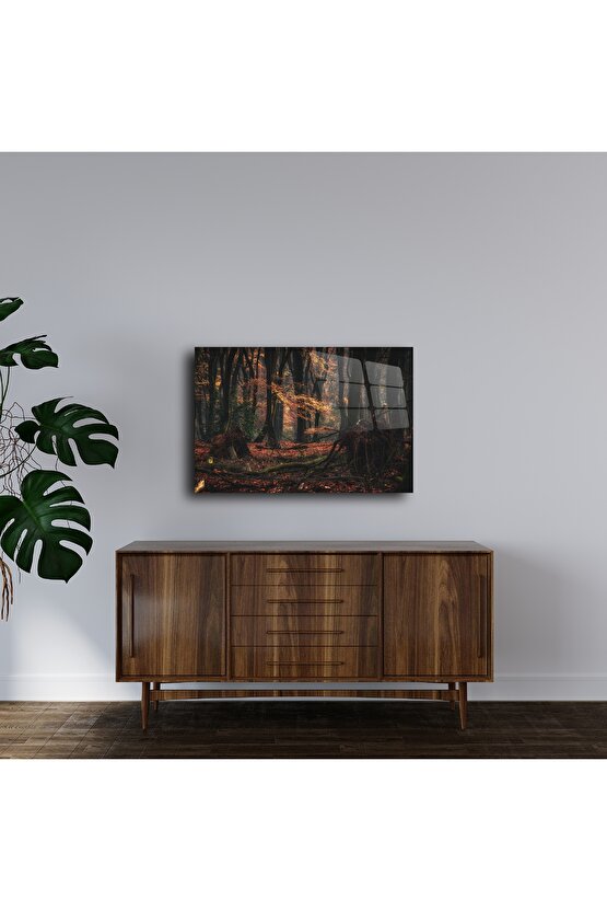 Modern Cam Duvar Tablosu