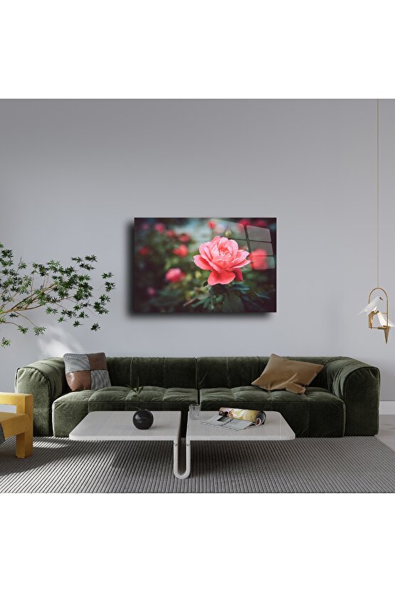 Cam Tablo Gül Çiçeği Duvar Sanatı