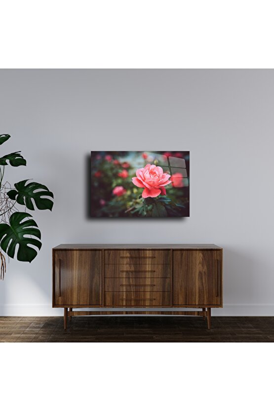 Cam Tablo Gül Çiçeği Duvar Sanatı