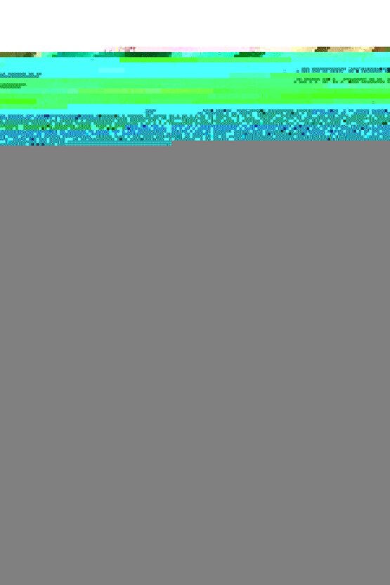 Matisse - Boho - Art Deco - Soyut - Doğa ( 3 lü Çerçevesiz ) Poster - Afiş - Tablo KR2C00689