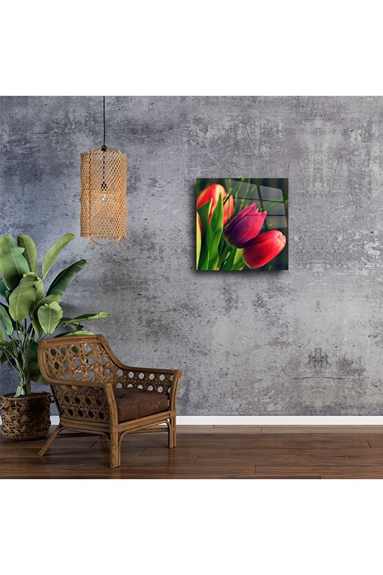 Canlı Kırmızı Lale Çiçek Fotoğrafı Cam Tablo